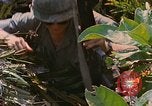 Immagine di Bastoni punji Il Vietnam, 1968, secondo 21 filmato di repertorio 65675040362