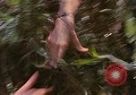 Immagine di Bastoni punji Il Vietnam, 1968, secondo 25 filmato di repertorio 65675040362