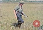 Immagine di Bastoni punji Il Vietnam, 1968, secondo 31 filmato di repertorio 65675040362