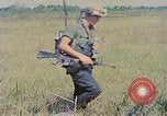 Immagine di Bastoni punji Il Vietnam, 1968, secondo 34 filmato di repertorio 65675040362