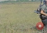 Immagine di Bastoni punji Il Vietnam, 1968, secondo 35 filmato di repertorio 65675040362