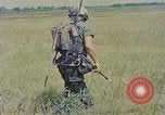 Immagine di Bastoni punji Il Vietnam, 1968, secondo 38 filmato di repertorio 65675040362