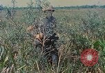 Immagine di Bastoni punji Il Vietnam, 1968, secondo 40 filmato di repertorio 65675040362