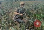 Immagine di Bastoni punji Il Vietnam, 1968, secondo 41 filmato di repertorio 65675040362