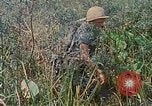 Immagine di Bastoni punji Il Vietnam, 1968, secondo 42 filmato di repertorio 65675040362