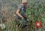 Immagine di Bastoni punji Il Vietnam, 1968, secondo 43 filmato di repertorio 65675040362