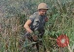 Immagine di Bastoni punji Il Vietnam, 1968, secondo 44 filmato di repertorio 65675040362