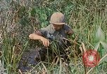 Immagine di Bastoni punji Il Vietnam, 1968, secondo 45 filmato di repertorio 65675040362