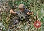 Immagine di Bastoni punji Il Vietnam, 1968, secondo 46 filmato di repertorio 65675040362