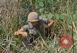 Immagine di Bastoni punji Il Vietnam, 1968, secondo 47 filmato di repertorio 65675040362