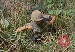 Immagine di Bastoni punji Il Vietnam, 1968, secondo 48 filmato di repertorio 65675040362