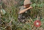 Immagine di Bastoni punji Il Vietnam, 1968, secondo 49 filmato di repertorio 65675040362
