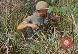 Immagine di Bastoni punji Il Vietnam, 1968, secondo 51 filmato di repertorio 65675040362