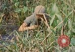 Immagine di Bastoni punji Il Vietnam, 1968, secondo 53 filmato di repertorio 65675040362