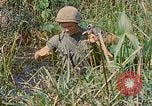 Immagine di Bastoni punji Il Vietnam, 1968, secondo 54 filmato di repertorio 65675040362