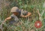 Immagine di Bastoni punji Il Vietnam, 1968, secondo 55 filmato di repertorio 65675040362