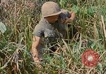 Immagine di Bastoni punji Il Vietnam, 1968, secondo 56 filmato di repertorio 65675040362