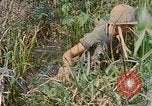 Immagine di Bastoni punji Il Vietnam, 1968, secondo 57 filmato di repertorio 65675040362