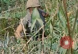 Immagine di Bastoni punji Il Vietnam, 1968, secondo 58 filmato di repertorio 65675040362