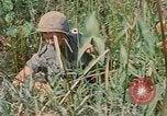 Immagine di Bastoni punji Il Vietnam, 1968, secondo 59 filmato di repertorio 65675040362
