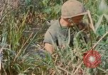 Immagine di Bastoni punji Il Vietnam, 1968, secondo 61 filmato di repertorio 65675040362