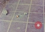 Image des armes saisies Vietnam, 1968, de la seconde 13 séquences d'archives historiques vidéo 65675040363