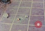 Image des armes saisies Vietnam, 1968, de la seconde 18 séquences d'archives historiques vidéo 65675040363
