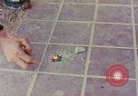 Image des armes saisies Vietnam, 1968, de la seconde 23 séquences d'archives historiques vidéo 65675040363