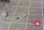 Image des armes saisies Vietnam, 1968, de la seconde 25 séquences d'archives historiques vidéo 65675040363