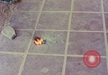 Image des armes saisies Vietnam, 1968, de la seconde 35 séquences d'archives historiques vidéo 65675040363