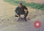 Image des armes saisies Vietnam, 1968, de la seconde 47 séquences d'archives historiques vidéo 65675040363