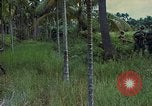 Standbild ARVN Interpreter Vietnam, 1968, aus Sekunde 36 historischem Filmmaterial Videoclip 65675040366