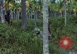 Standbild ARVN Interpreter Vietnam, 1968, aus Sekunde 57 historischem Filmmaterial Videoclip 65675040366