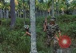 Standbild ARVN Interpreter Vietnam, 1968, aus Sekunde 59 historischem Filmmaterial Videoclip 65675040366