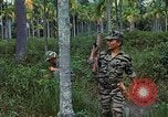 Standbild ARVN Interpreter Vietnam, 1968, aus Sekunde 60 historischem Filmmaterial Videoclip 65675040366