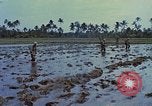 Standbild UH-1D Hubschrauber Vietnam, 1968, aus Sekunde 11 historischem Filmmaterial Videoclip 65675040367