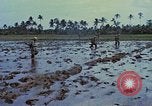 Standbild UH-1D Hubschrauber Vietnam, 1968, aus Sekunde 13 historischem Filmmaterial Videoclip 65675040367