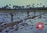Standbild UH-1D Hubschrauber Vietnam, 1968, aus Sekunde 14 historischem Filmmaterial Videoclip 65675040367