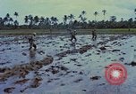 Standbild UH-1D Hubschrauber Vietnam, 1968, aus Sekunde 15 historischem Filmmaterial Videoclip 65675040367