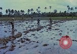 Standbild UH-1D Hubschrauber Vietnam, 1968, aus Sekunde 17 historischem Filmmaterial Videoclip 65675040367
