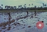 Standbild UH-1D Hubschrauber Vietnam, 1968, aus Sekunde 19 historischem Filmmaterial Videoclip 65675040367