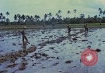 Standbild UH-1D Hubschrauber Vietnam, 1968, aus Sekunde 20 historischem Filmmaterial Videoclip 65675040367