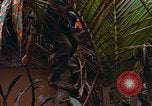 Standbild UH-1D Hubschrauber Vietnam, 1968, aus Sekunde 40 historischem Filmmaterial Videoclip 65675040367