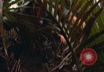 Standbild UH-1D Hubschrauber Vietnam, 1968, aus Sekunde 48 historischem Filmmaterial Videoclip 65675040367
