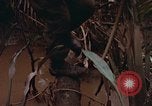 Standbild UH-1D Hubschrauber Vietnam, 1968, aus Sekunde 50 historischem Filmmaterial Videoclip 65675040367