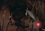 Standbild UH-1D Hubschrauber Vietnam, 1968, aus Sekunde 51 historischem Filmmaterial Videoclip 65675040367