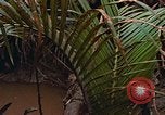Standbild UH-1D Hubschrauber Vietnam, 1968, aus Sekunde 57 historischem Filmmaterial Videoclip 65675040367