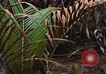 Standbild UH-1D Hubschrauber Vietnam, 1968, aus Sekunde 60 historischem Filmmaterial Videoclip 65675040367