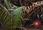 Standbild UH-1D Hubschrauber Vietnam, 1968, aus Sekunde 61 historischem Filmmaterial Videoclip 65675040367