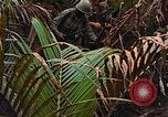 Standbild UH-1D Hubschrauber Vietnam, 1968, aus Sekunde 62 historischem Filmmaterial Videoclip 65675040367
